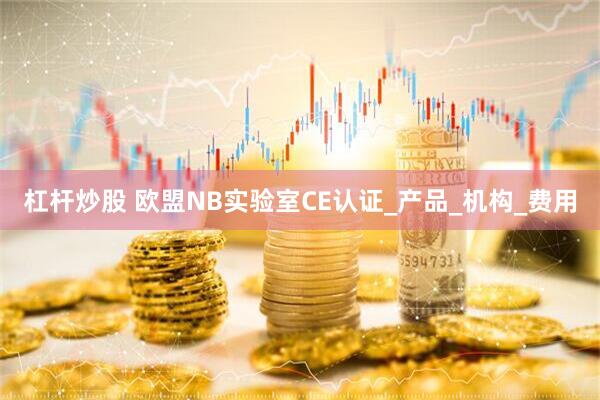 杠杆炒股 欧盟NB实验室CE认证_产品_机构_费用